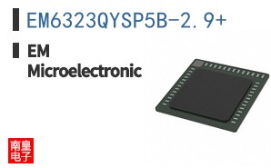 EM6323QYSP5B-2.9+ ͼƬ